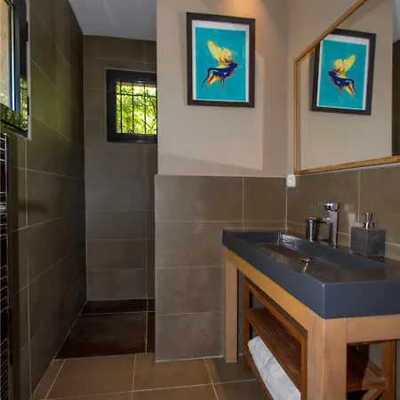 Villa Saint-michel-lobservatoire Sleeps 12 Pool La Croix-Valmer
